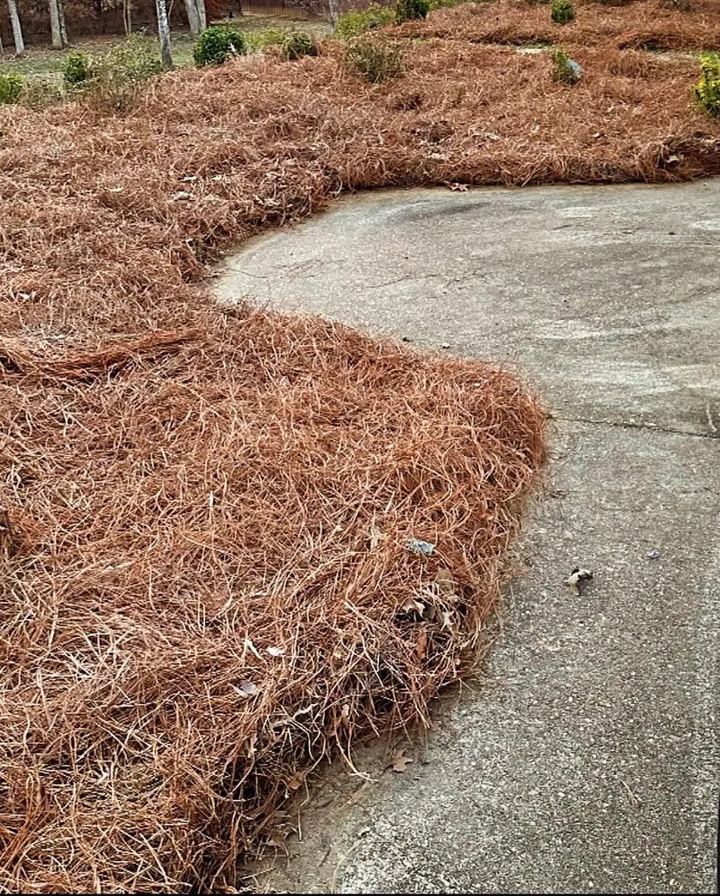 Expert landscape design in Jackson, MS - Knights Lawn & Landscaping