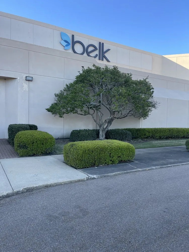 Trusted landscaping services for outdoor upgrades in Jackson, MS by Knights Lawn & Landscaping