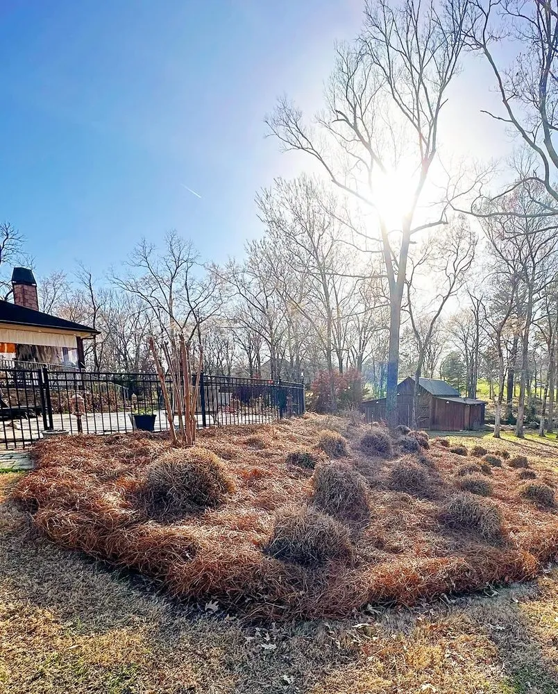 Top-rated outdoor landscaping in Jackson, MS by Knights Lawn & Landscaping