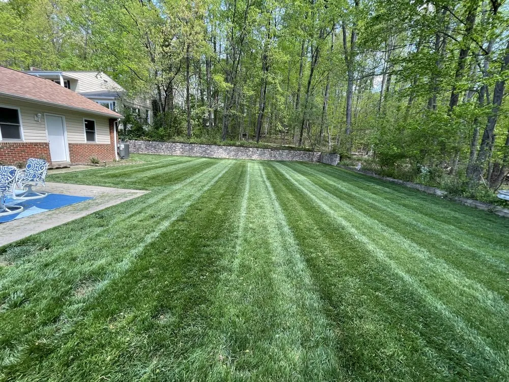 Top-rated yard maintenance experts serving Spotsylvania Courthouse, VA - Knights Lawn Care