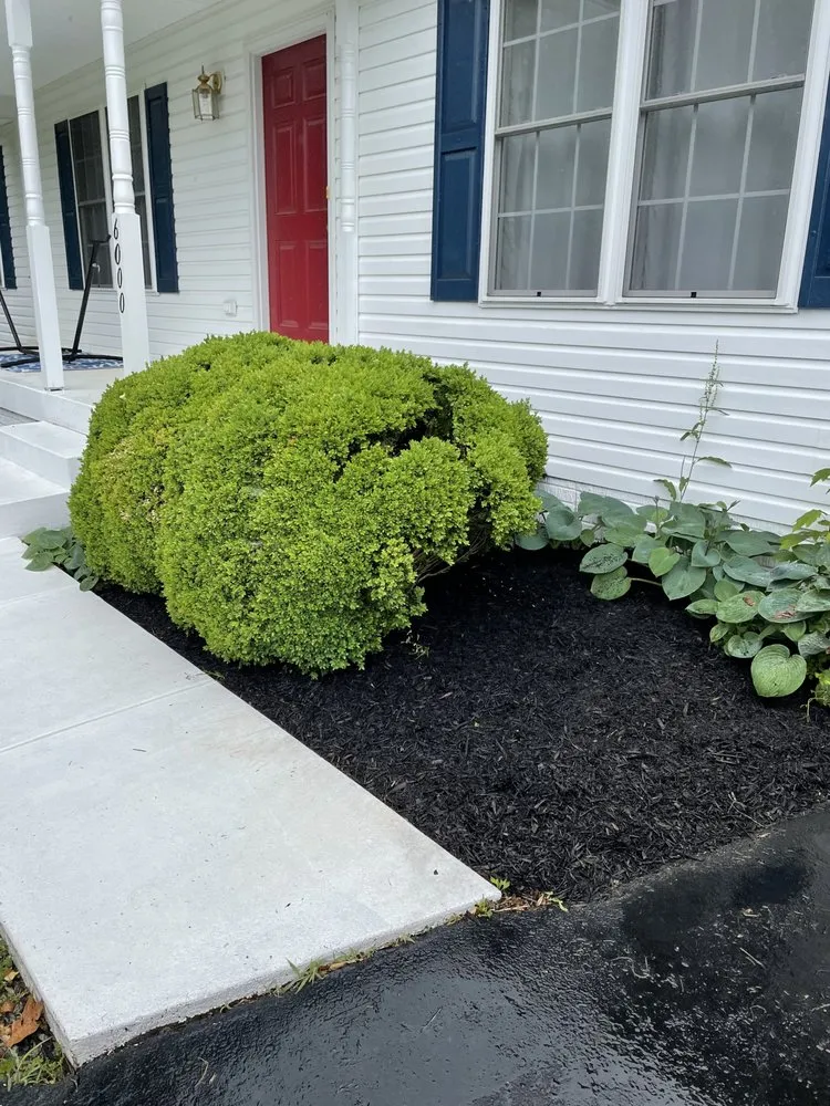 Trusted yard cleanup service with custom design in Spotsylvania Courthouse, VA by Knights Lawn Care