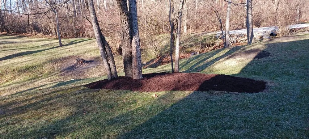 Affordable landscape design for year-round maintenance across Springfield, OH - Knights Lawn Care