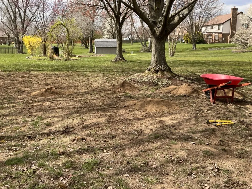 Expert outdoor landscaping for beautiful yards across Springfield, OH - Knights Lawn Care