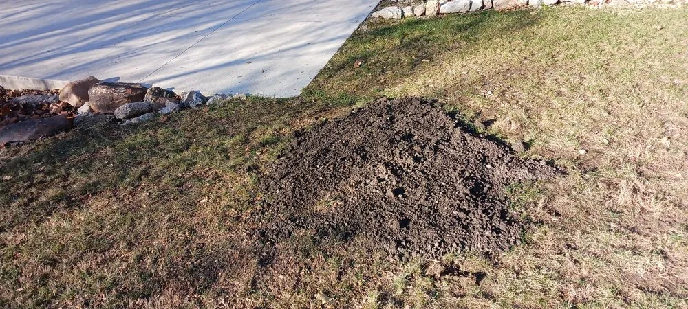 Custom lawn care service for outdoor upgrades across Springfield, OH - Knights Lawn Care