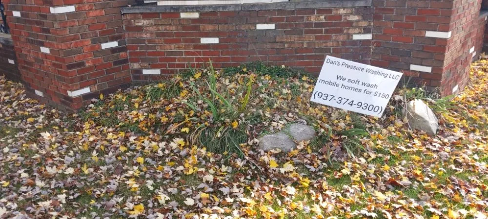 Local yard cleanup service near you across Springfield, OH - Knights Lawn Care