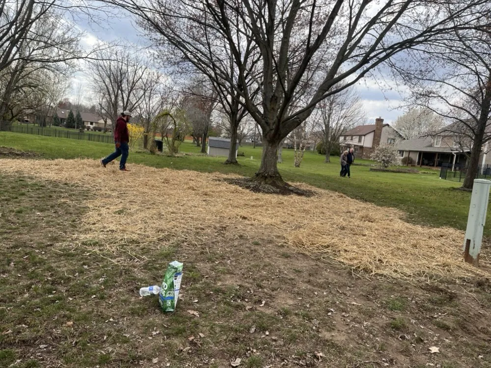 Affordable residential landscaping for outdoor upgrades in Springfield, OH by Knights Lawn Care