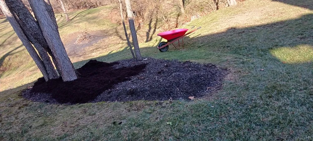 Top-rated outdoor landscaping in Springfield, OH by Knights Lawn Care