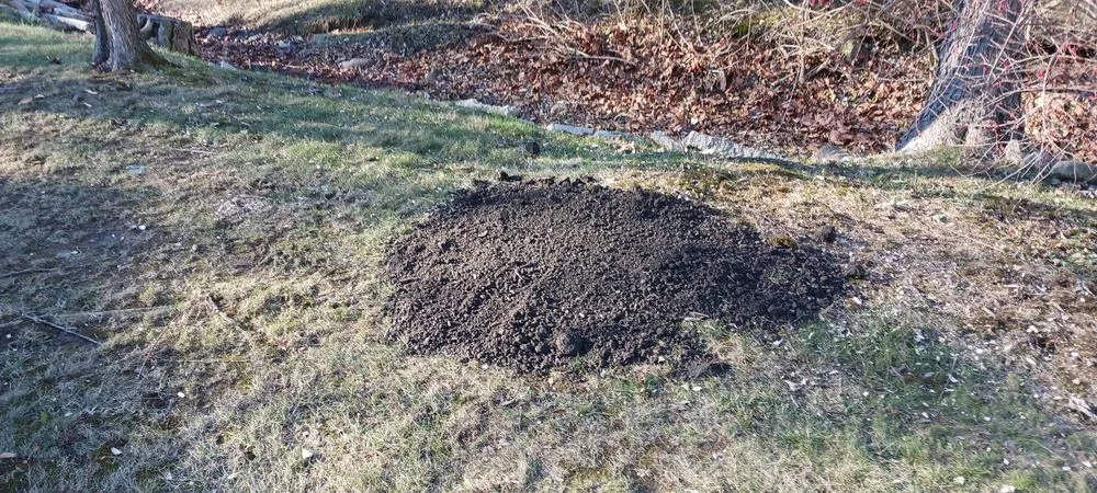 Local landscape design for homes across Springfield, OH - Knights Lawn Care