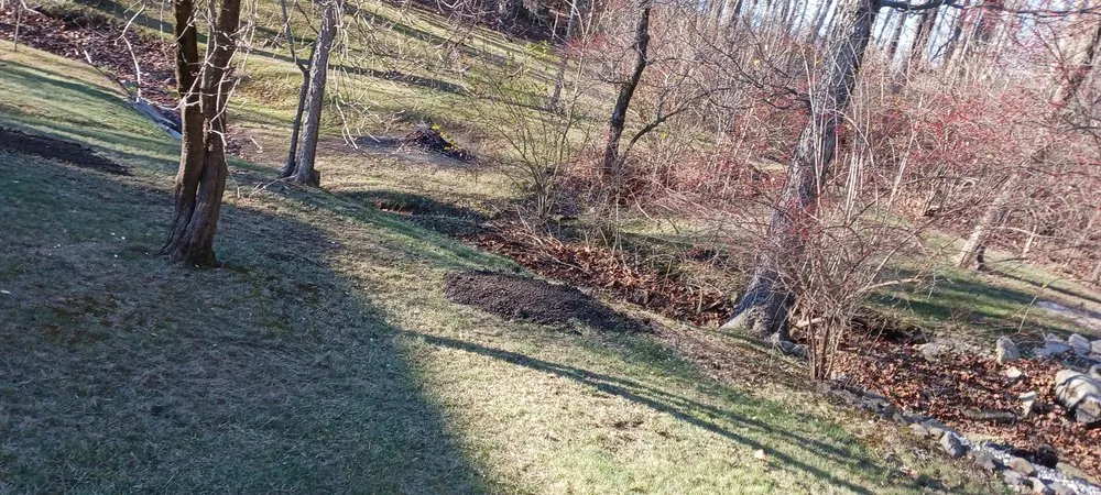 Custom yard cleanup service in Springfield, OH by Knights Lawn Care