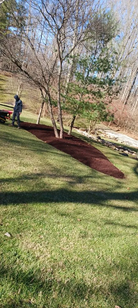 Affordable lawn care service for residential properties across Springfield, OH - Knights Lawn Care