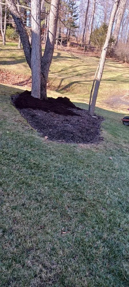 Local landscape design for year-round maintenance across Springfield, OH - Knights Lawn Care