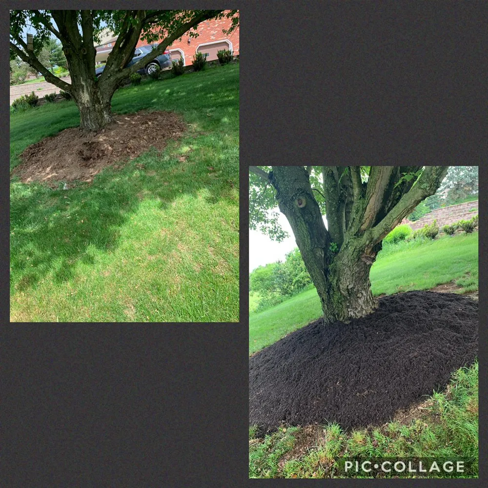 Local lawn mowing service experts serving Washington, PA - Knight’s Lawn Service & Snow Removal