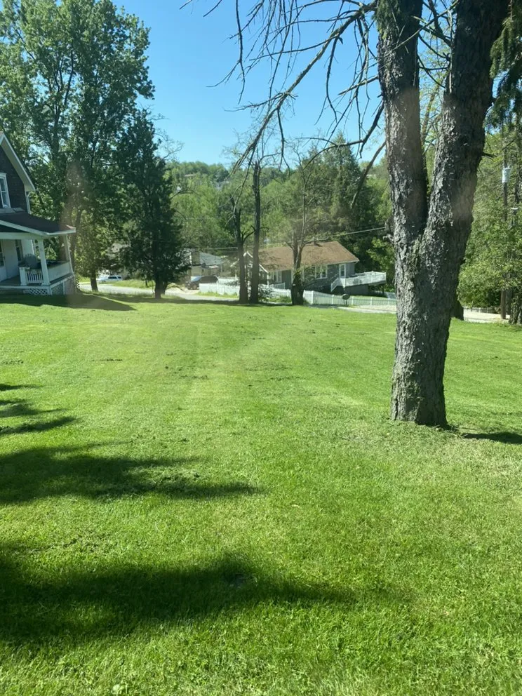 Top-rated yard maintenance in Washington, PA - Knight’s Lawn Service & Snow Removal
