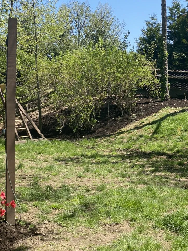 Affordable landscape design in Washington, PA by Knight’s Lawn Service & Snow Removal