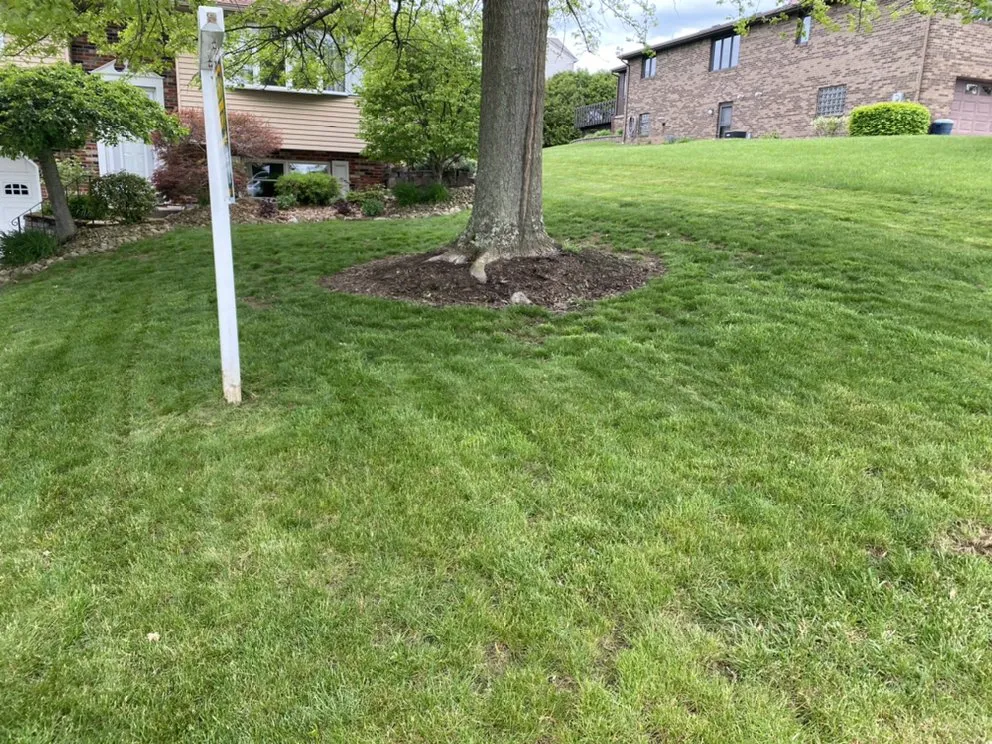 Affordable yard cleanup service in Washington, PA - Knight’s Lawn Service & Snow Removal