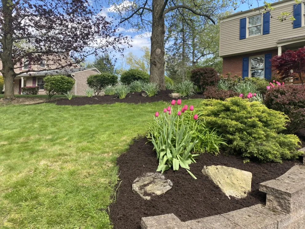 Local yard cleanup service for beautiful yards across Washington, PA - Knight’s Lawn Service & Snow Removal