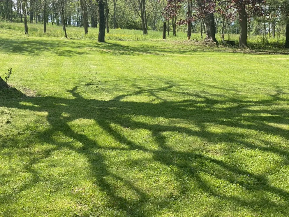 Affordable yard maintenance with custom design across Washington, PA - Knight’s Lawn Service & Snow Removal