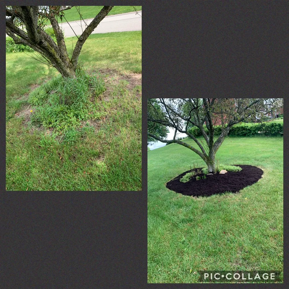 Top-rated outdoor landscaping experts serving Washington, PA - Knight’s Lawn Service & Snow Removal