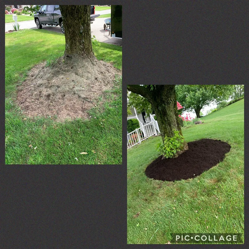 Top-rated lawn care service experts serving Washington, PA - Knight’s Lawn Service & Snow Removal