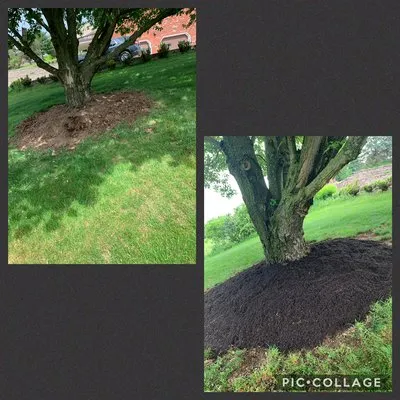 Knight’s Lawn Service & Snow Removal Logo