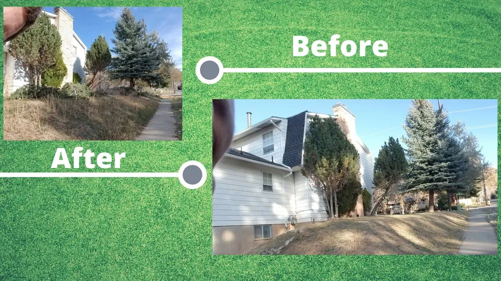 Expert yard cleanup service experts serving Roy, UT - Knights of Eden