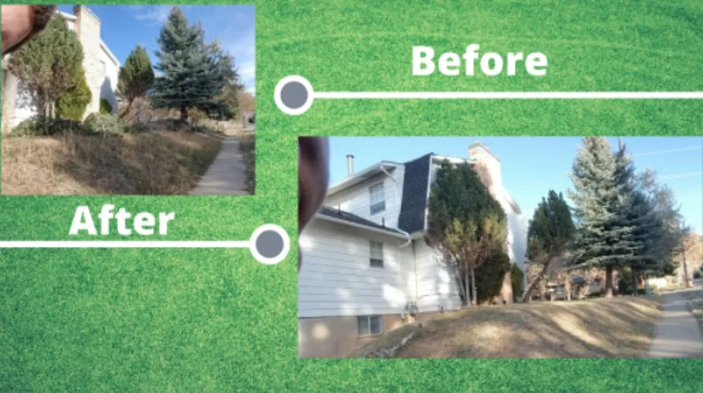 Expert lawn mowing service experts serving Roy, UT - Knights of Eden