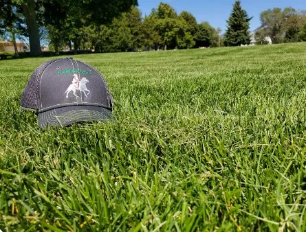 Reliable landscape design in Roy, UT - Knights of Eden