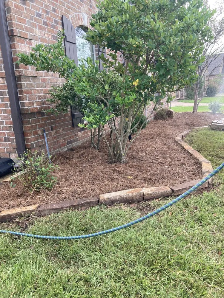 Top-rated lawn care service near you in Bossier City, LA by Knights Outdoor Services