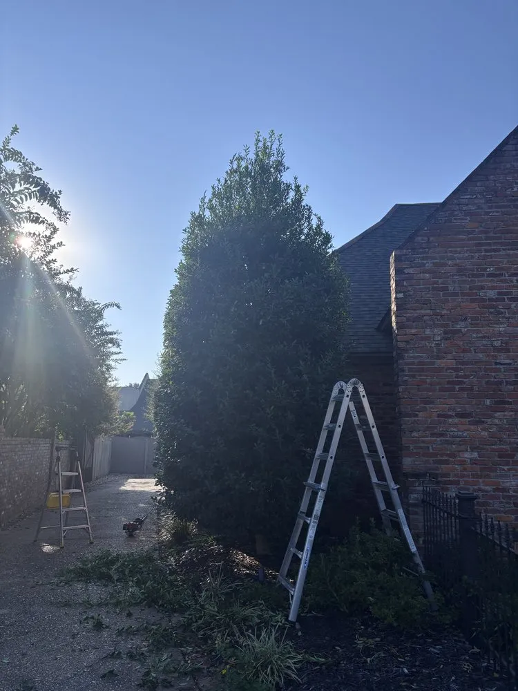 Top-rated landscaping services in Bossier City, LA by Knights Outdoor Services