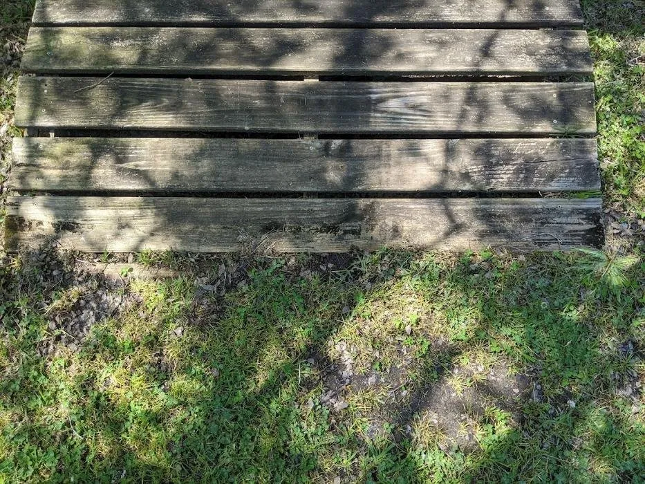 Custom yard maintenance for outdoor upgrades across Lafayette, LA - Knight's Precision Cuts