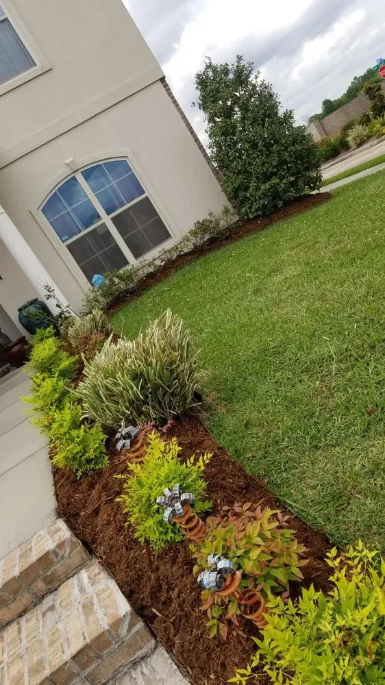 Custom lawn mowing service in Lafayette, LA by Knight's Precision Cuts