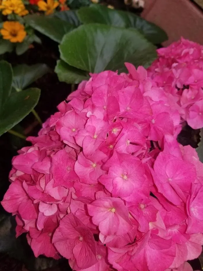 Trusted landscaping services for homes across Lafayette, LA - Knight's Precision Cuts