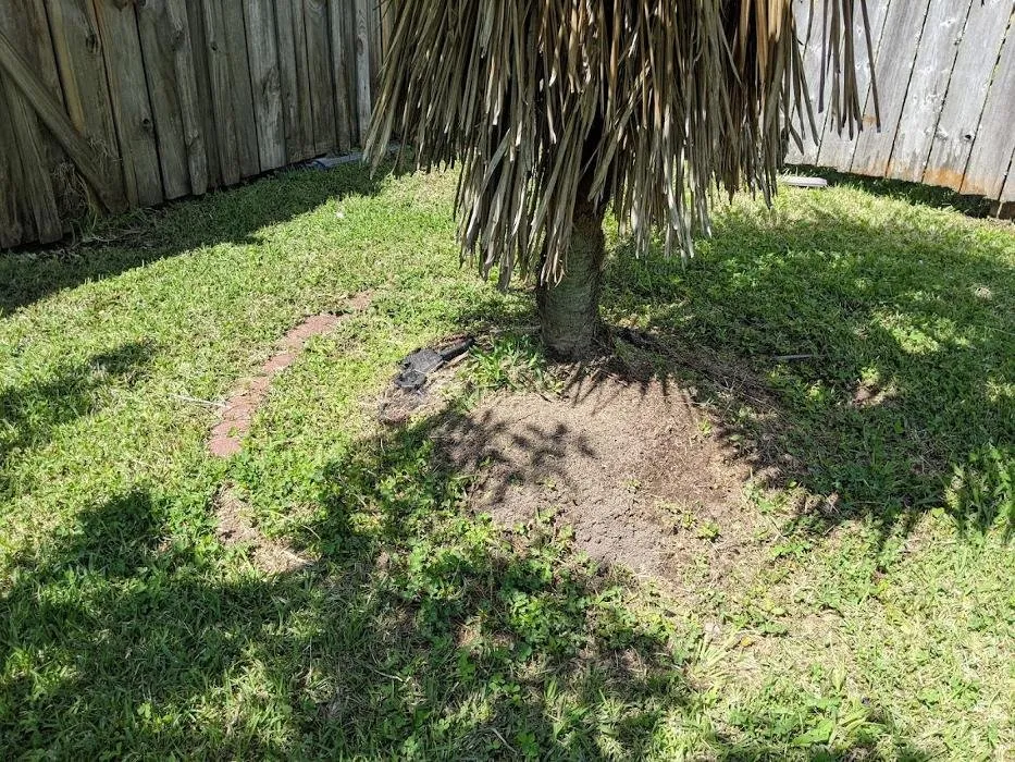 Affordable yard maintenance near you across Lafayette, LA - Knight's Precision Cuts