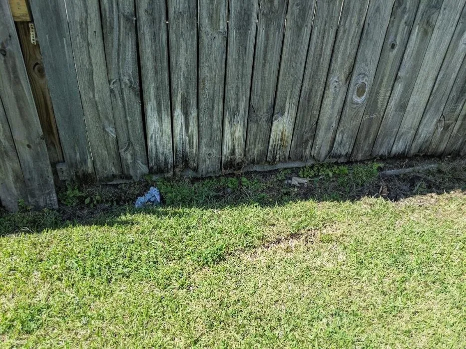 Custom garden landscaping in Lafayette, LA - Knight's Precision Cuts