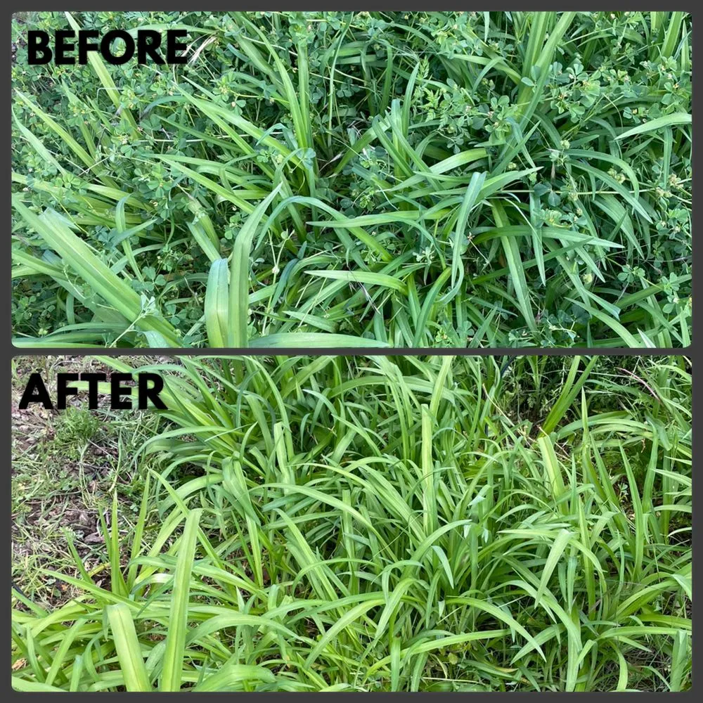 Trusted lawn mowing service for residential properties across Sonora, CA - Knights Yard Service