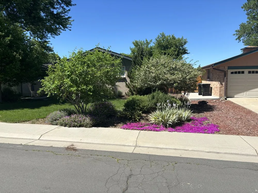 Custom outdoor landscaping experts serving Denver, CO - Knightscapes