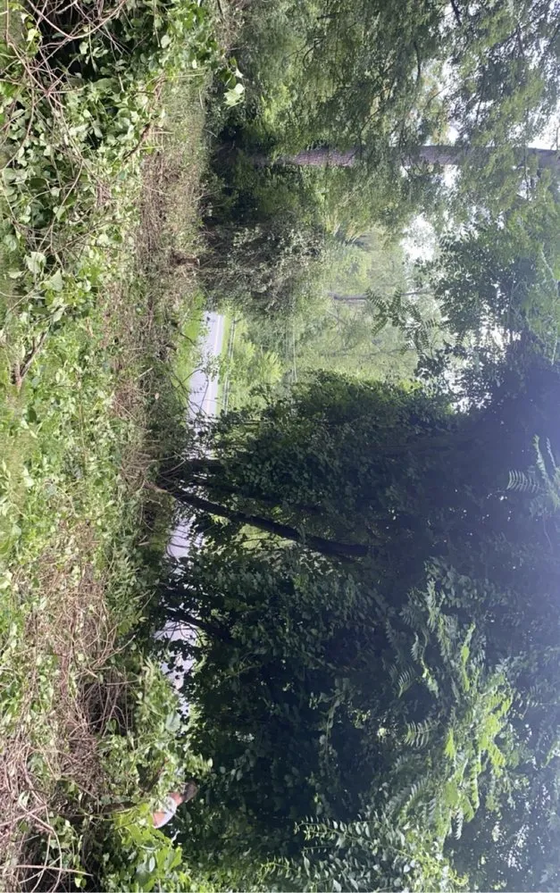 Top-rated residential landscaping for beautiful yards across Goshen, NY - Knightscaping