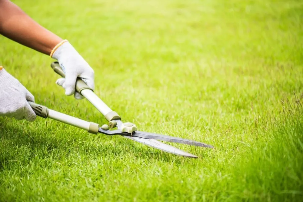 Reliable yard maintenance in Gautier, MS - Knippers Lawn Service