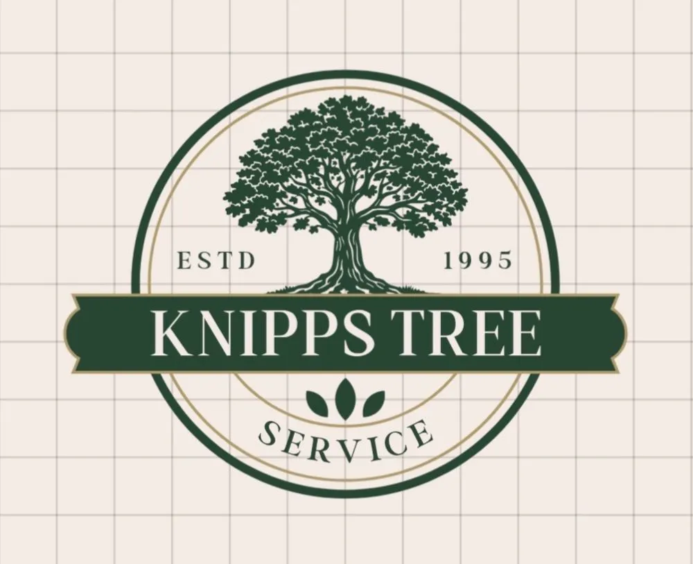 Trusted lawn care service experts serving Lucas, OH - Knipp's Tree Service