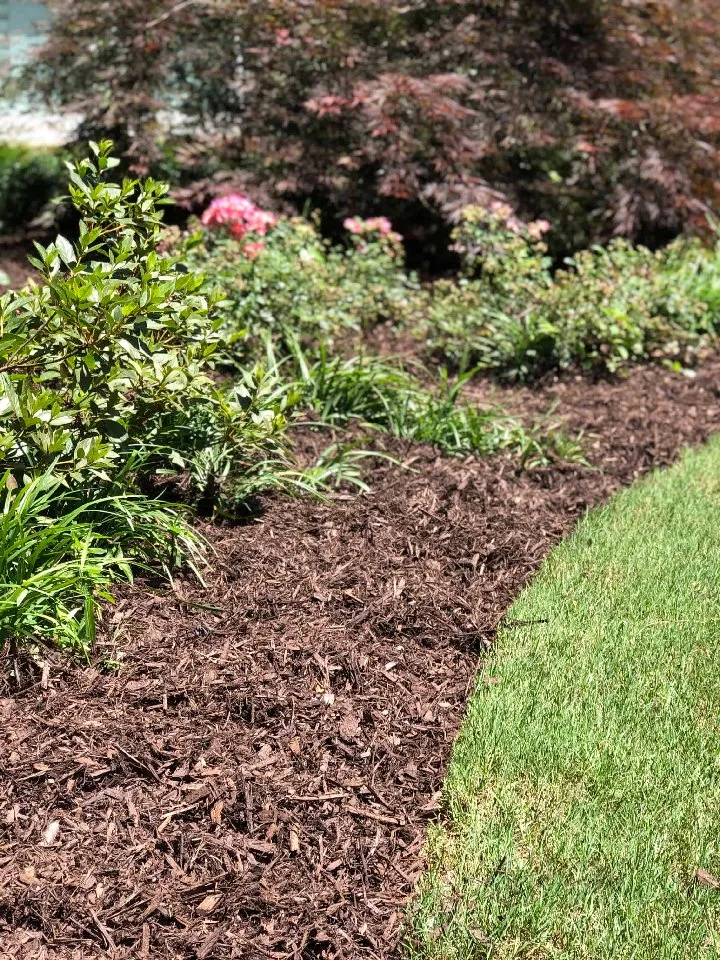 Professional outdoor landscaping experts serving Enola, PA - Knisely Landscape Materials