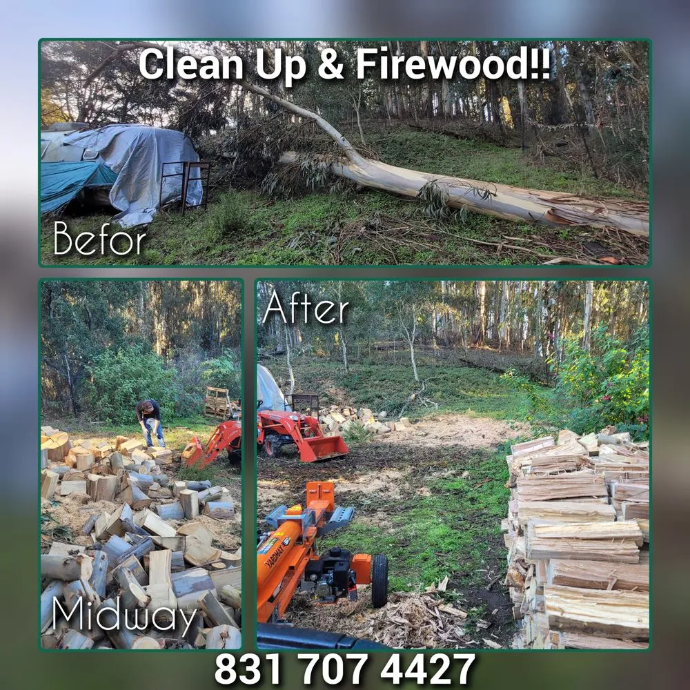 Top-rated yard cleanup service for outdoor upgrades across Aptos, CA - K.N.K Fire and Forest Management