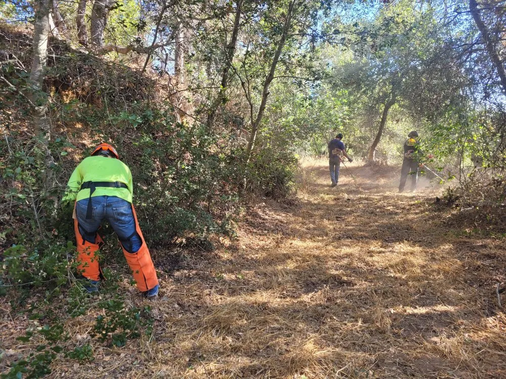 Trusted lawn care service in Aptos, CA - K.N.K Fire and Forest Management