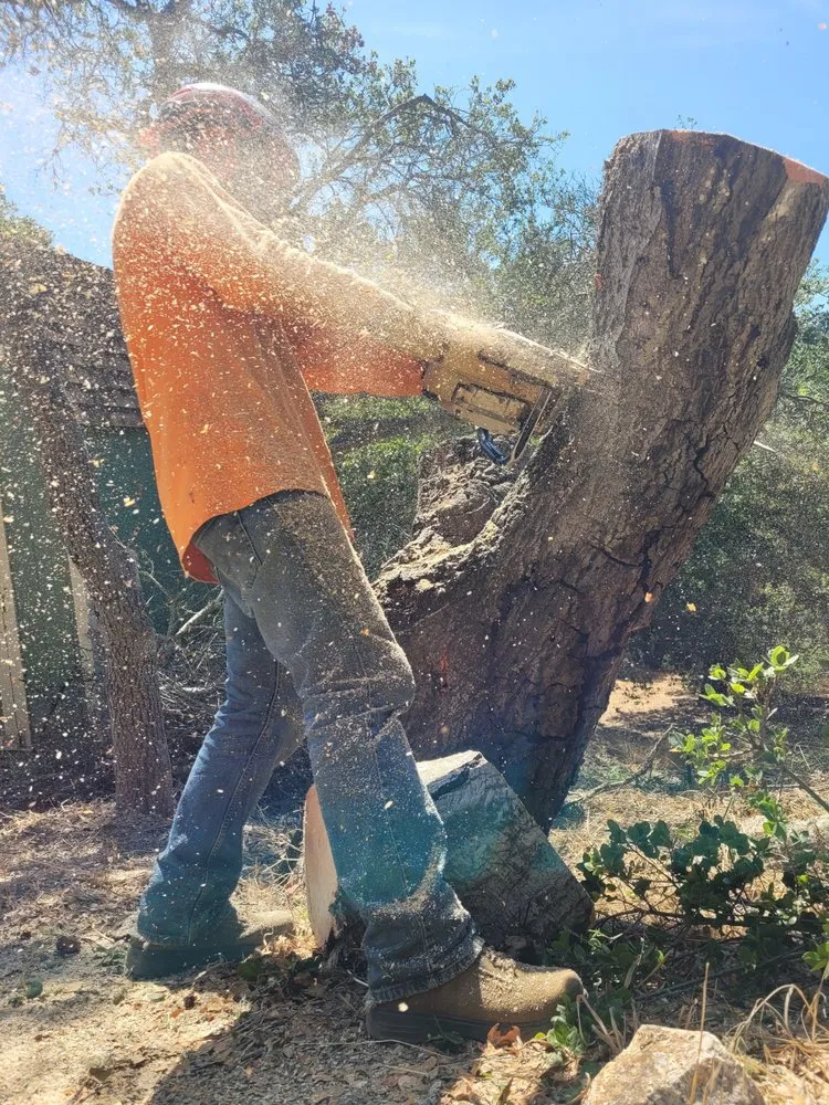 Affordable landscaping services experts serving Aptos, CA - K.N.K Fire and Forest Management