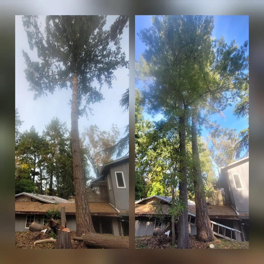 Reliable lawn care service in Aptos, CA - K.N.K Fire and Forest Management