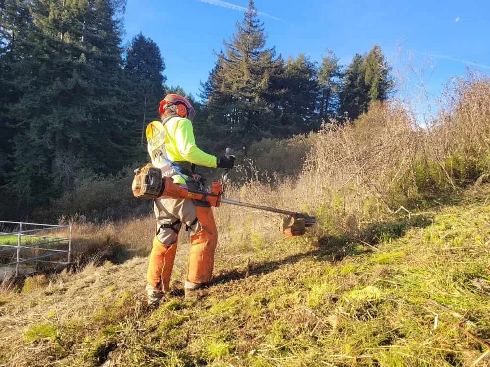 Top-rated landscape installation experts serving Aptos, CA - K.N.K Fire and Forest Management