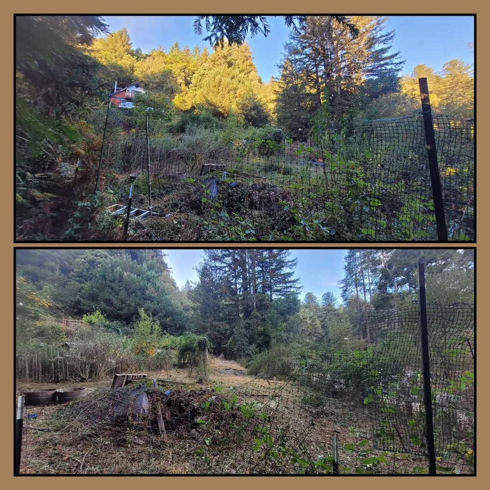 Trusted landscaping services in Aptos, CA - K.N.K Fire and Forest Management