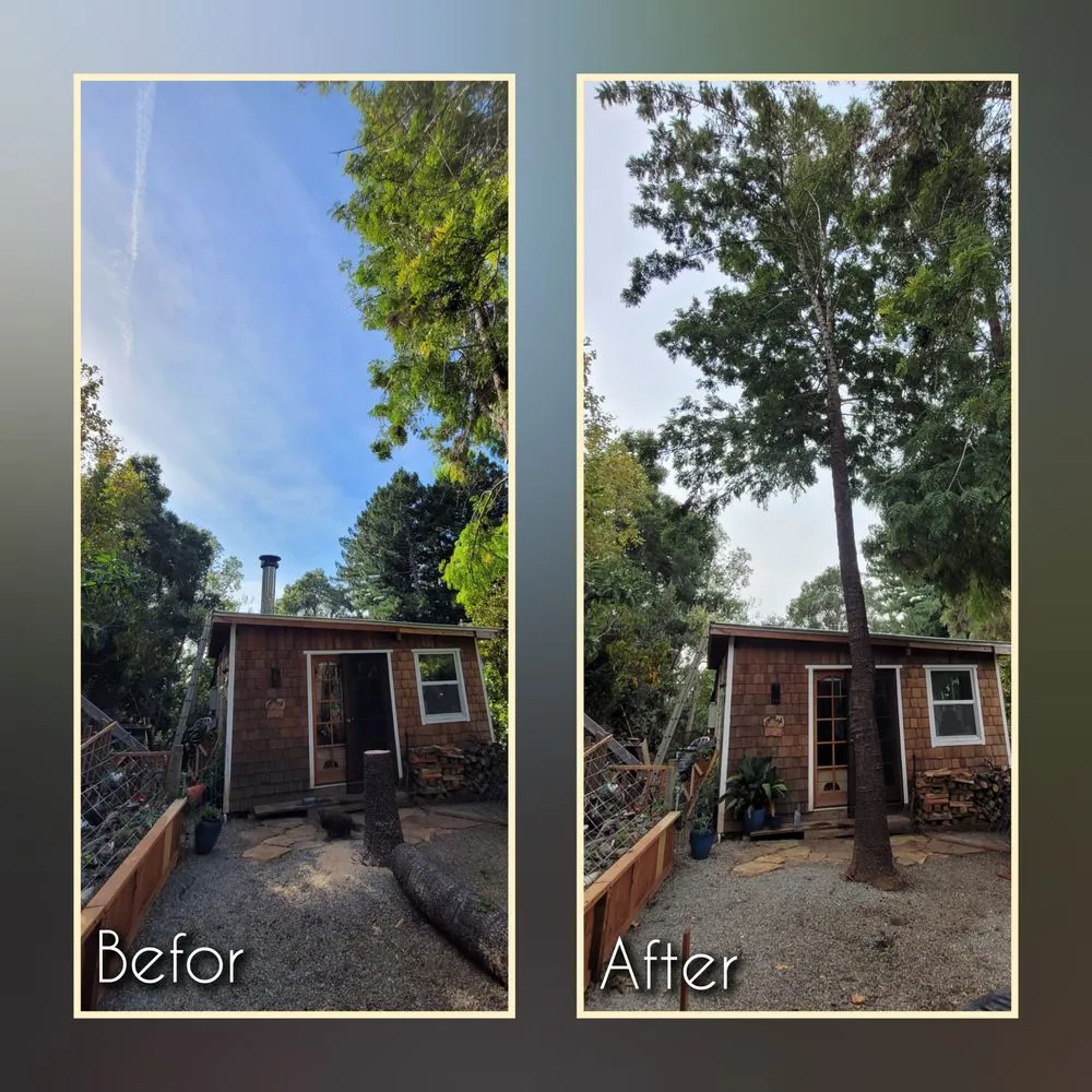 Local outdoor landscaping in Aptos, CA - K.N.K Fire and Forest Management