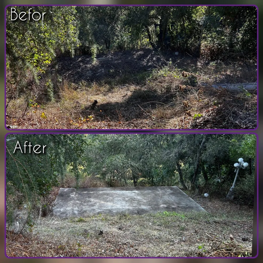 Expert outdoor landscaping experts serving Aptos, CA - K.N.K Fire and Forest Management