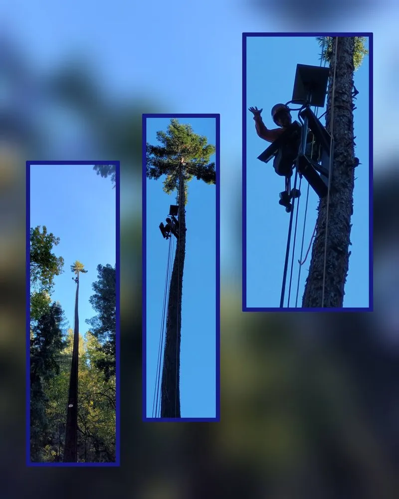 Custom landscape design for beautiful yards in Aptos, CA by K.N.K Fire and Forest Management