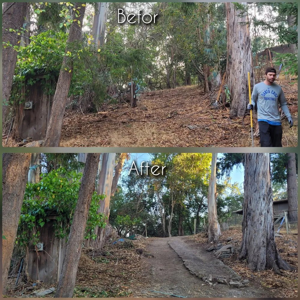 Custom yard maintenance in Aptos, CA by K.N.K Fire and Forest Management